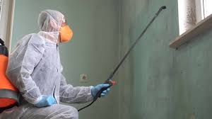 Why You Should Choose Our Mold Remediation Services in Trenton, OH