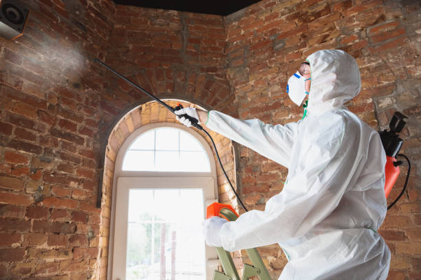 Mold Odor Removal Services in Trenton, OH